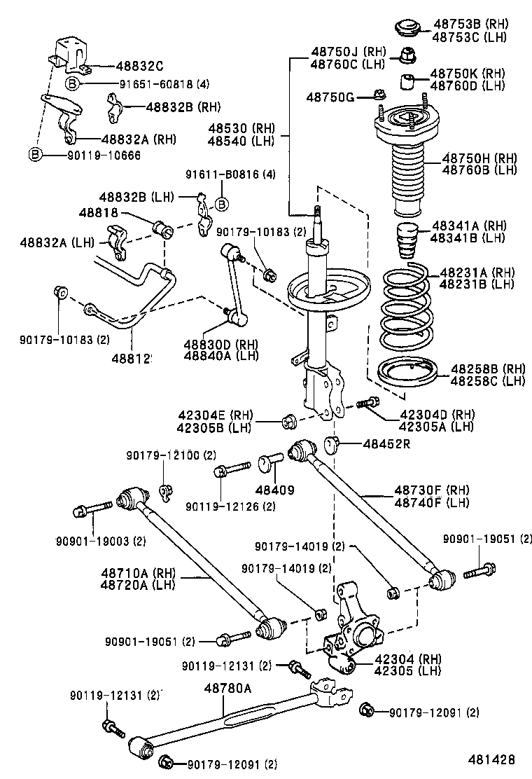  CAMRY |  REAR SPRING SHOCK ABSORBER