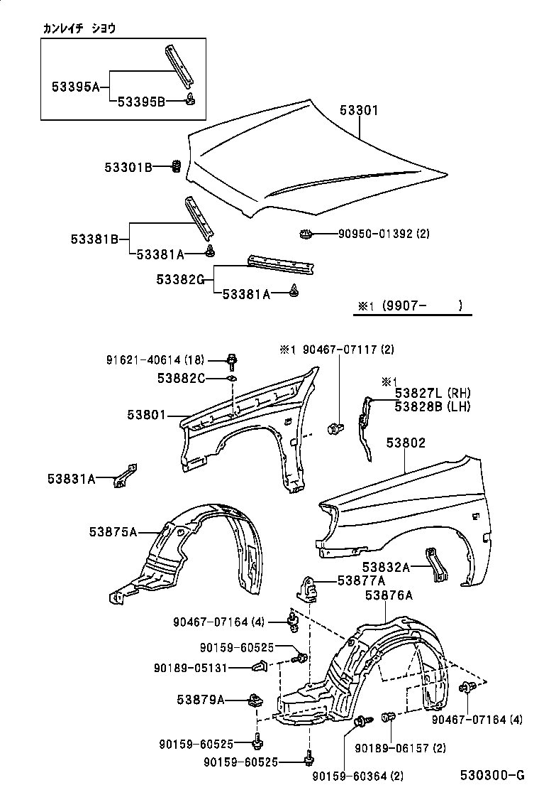  RAUM |  HOOD FRONT FENDER