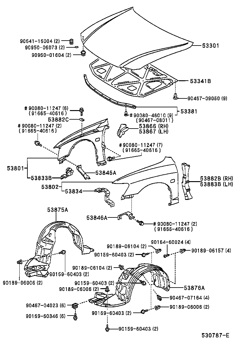  PRONARD |  HOOD FRONT FENDER