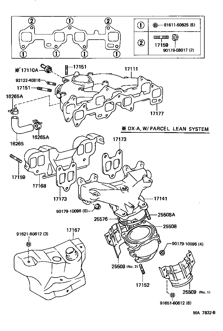  STARLET |  MANIFOLD