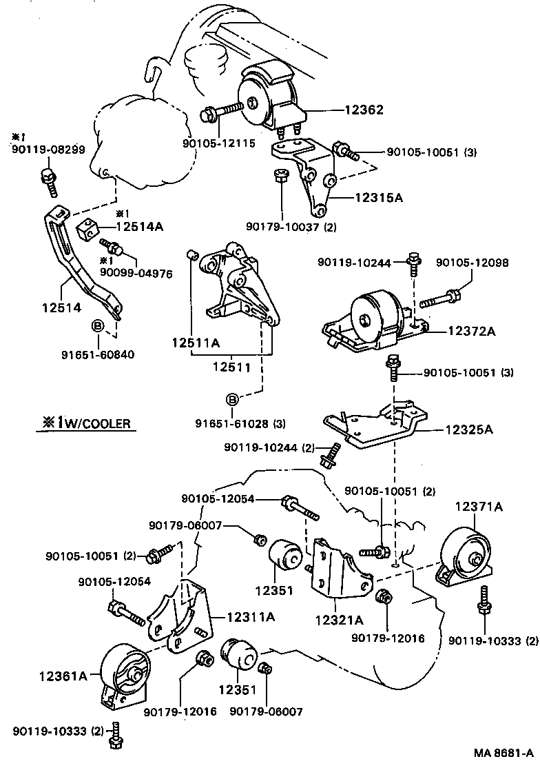  CARINA ED |  MOUNTING