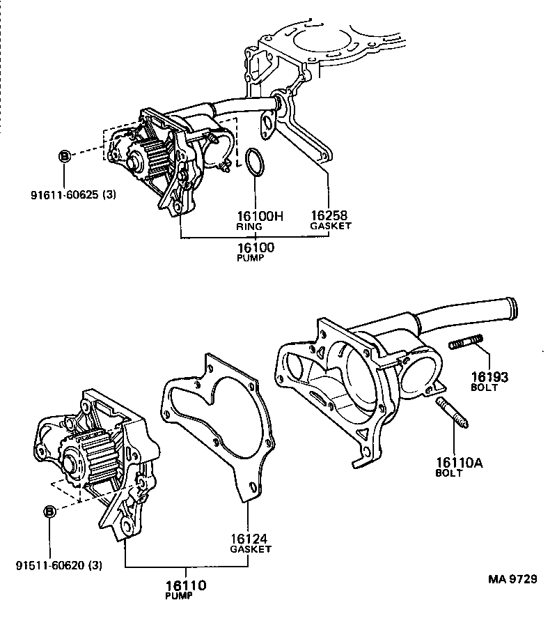  CARINA ED |  WATER PUMP