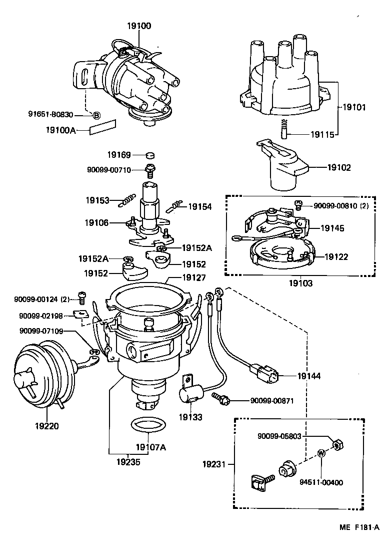  STARLET |  DISTRIBUTOR