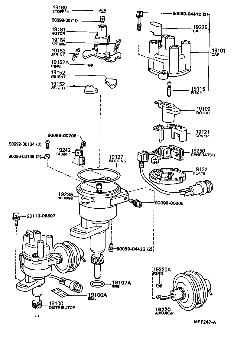  COASTER |  DISTRIBUTOR