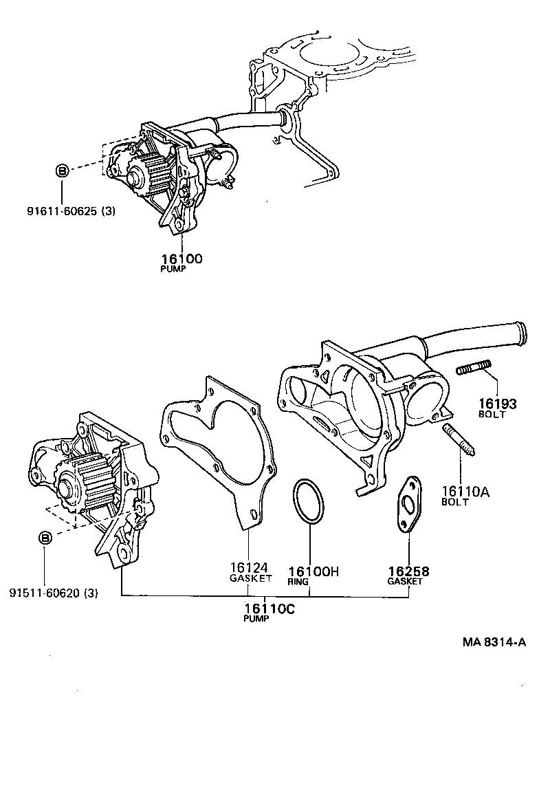  CARINA ED |  WATER PUMP