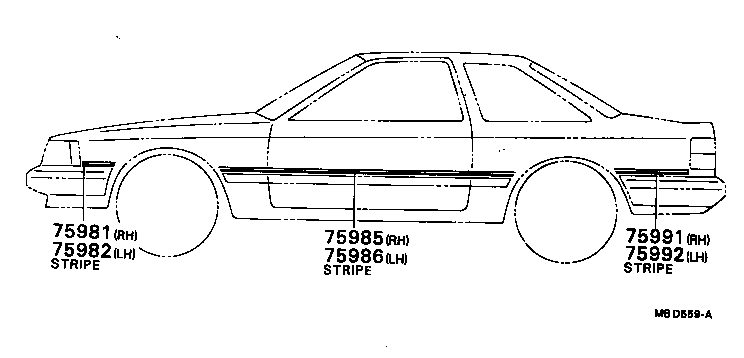  SOARER |  BODY STRIPE