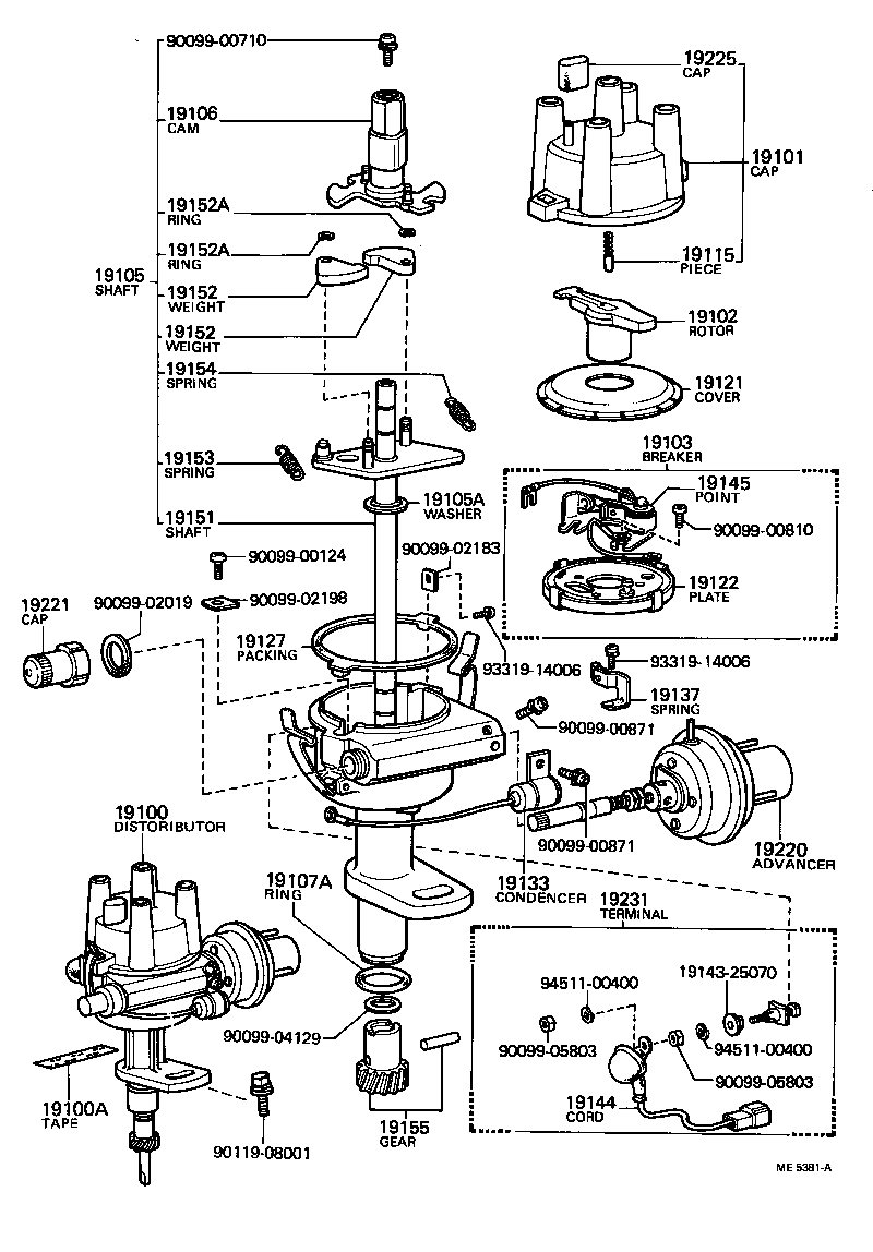  TOWN MASTERACE V WG |  DISTRIBUTOR