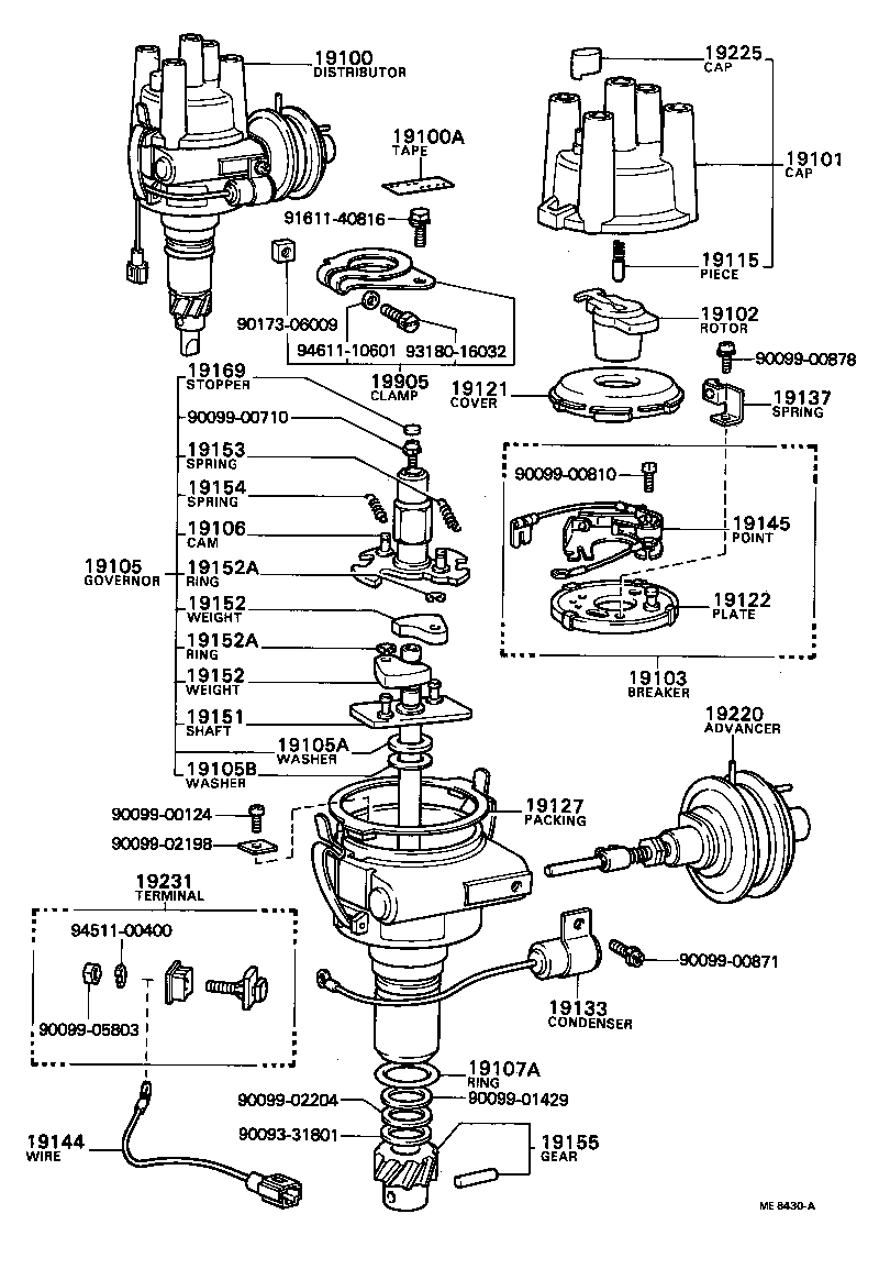  TOWN MASTERACE V WG |  DISTRIBUTOR