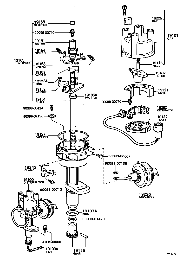  TOWN MASTERACE V WG |  DISTRIBUTOR