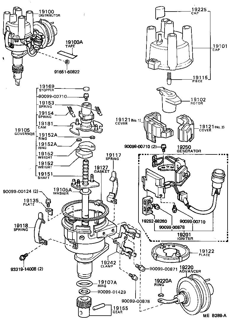  STARLET |  DISTRIBUTOR
