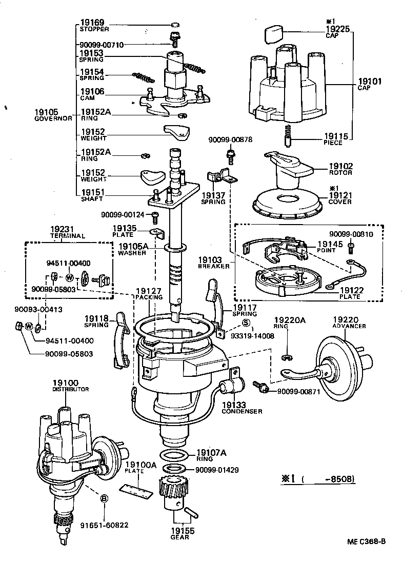  TOWN MASTERACE V WG |  DISTRIBUTOR