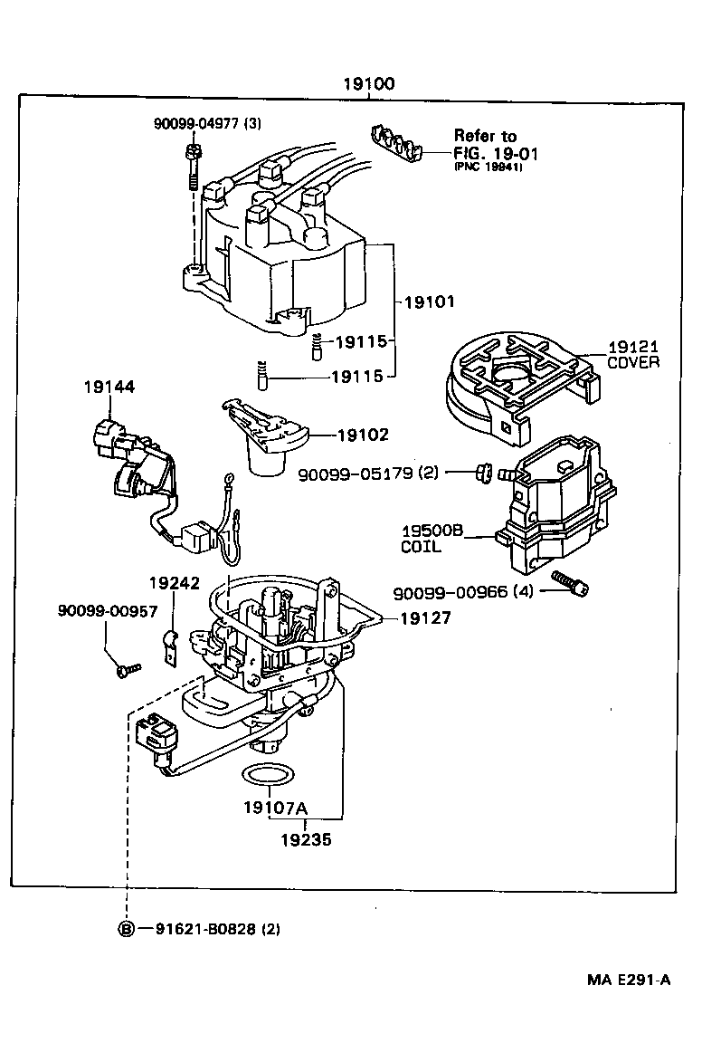  TERCEL |  DISTRIBUTOR